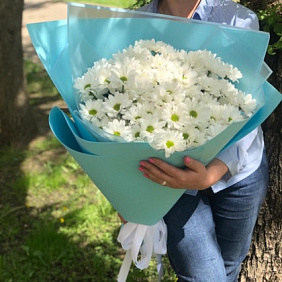 15 белых хризантем