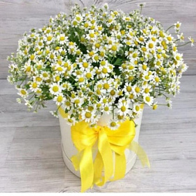 Цветы в коробке №452