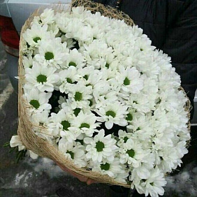 Букет Хризантема белое небо