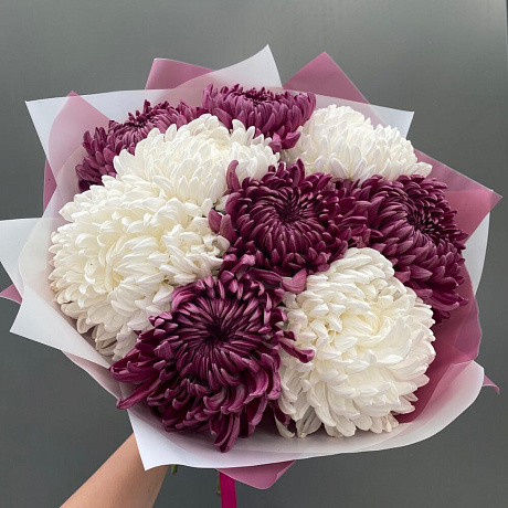 Шикарные хризантемы - Фото 4