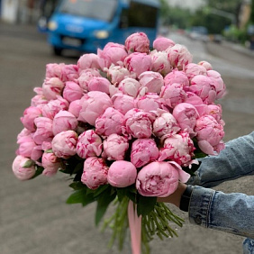 Букет из 51 Пионов №164