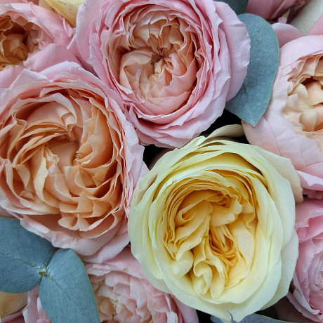 Букет цветов Shine - Фото 2