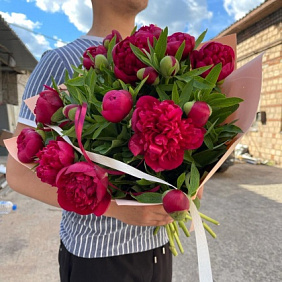Прекрасные пионы