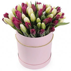 51 разноцветный тюльпан в средней шляпной коробке