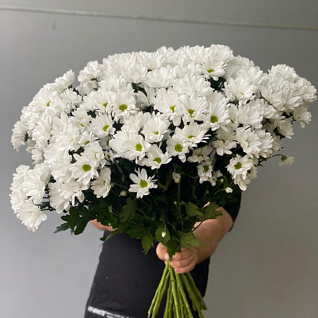 Букет из белых бакарди - Фото 3