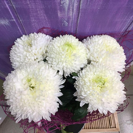 Букет Магнум - Фото 2