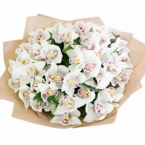 Букет из 37 белых орхидей