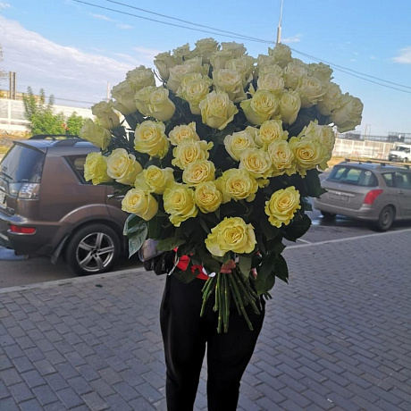 Белая эквадорская роза - Фото 4