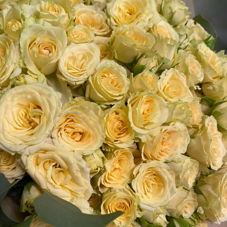 Букет из 51 кремовых кустовых роз - Фото 3