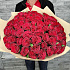75 красивейших роз - Фото 4