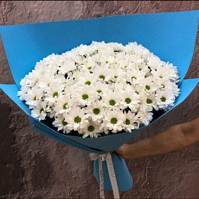 Букет кустовых хризантем №170