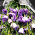 Букет цветов Сиреневая мечта - Фото 6