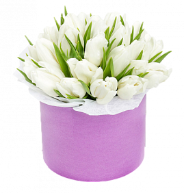 31 белый тюльпан в малой шляпной коробке
