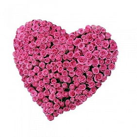 Букет из 201 розовой розы сердцем
