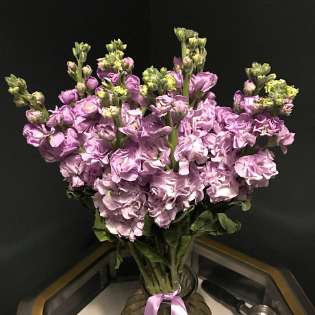 Букет цветов Ароматная матиола - Фото 6