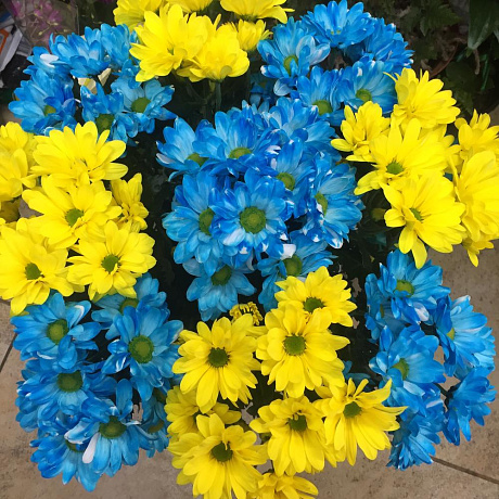 Букет цветов Небесный №161 - Фото 2
