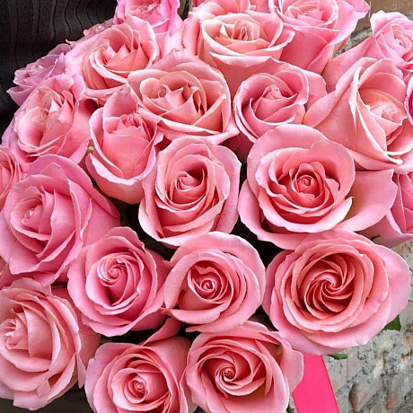 Букет из 25 розовых роз №164 - Фото 2