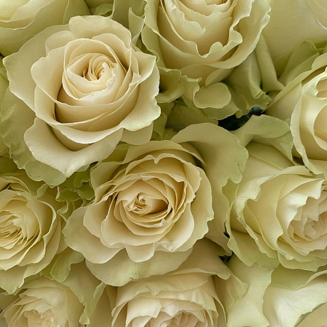 Моно -букет из белых роз - Фото 3