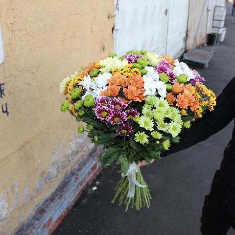 Букет из 35 разноцветных хризантем - Фото 5