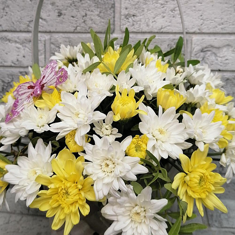 Букет цветов Ромашковое лукошко №160 - Фото 6