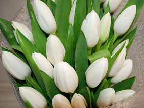 25 белых тюльпанов в белой коробке шкатулке с рафаэлло №477