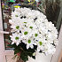 Букет цветов Бакарди 5 шт - Фото 2