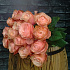Моно-букет из 15 пионовидных роз Кахала 50см - Фото 2