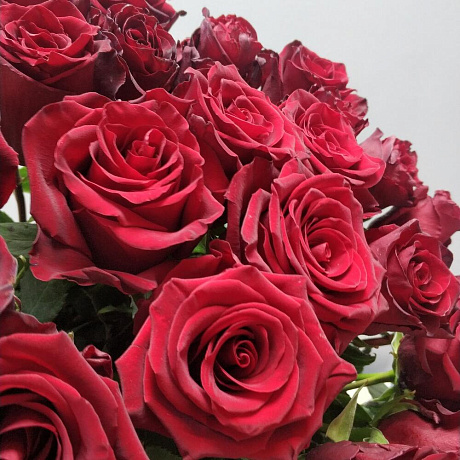 Шикарная эквадорская роза  35 шт - Фото 4