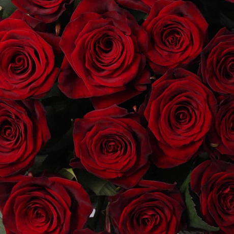 Букет из 25 красных роз №171 - Фото 4