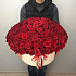 195 красных роз в бархатной коробке - Фото 1