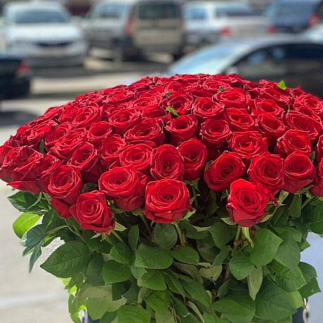 Красный роза - Фото 6