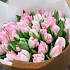 Тюльпаны розовые Голландия - Фото 2
