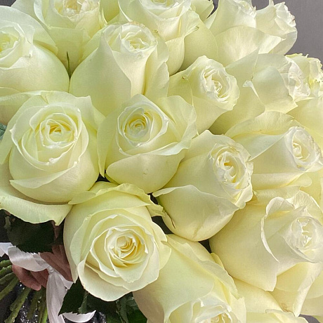 Букет из 25 эквадорских роз №164 - Фото 4