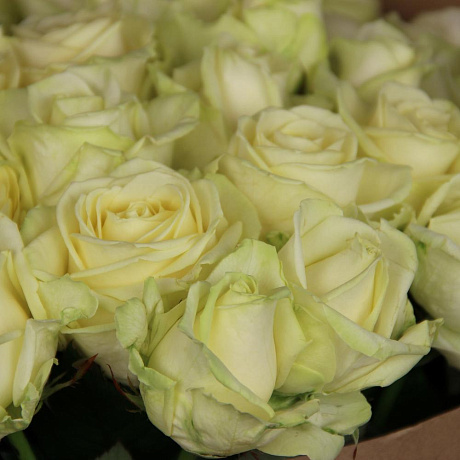 Букет Белые розы в крафте - Фото 6