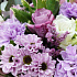 Букет цветов Лукошко - Фото 4