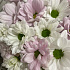 Цветы в коробке Хризантемы - Фото 6