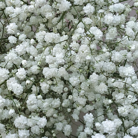 Букет цветов Снежный ком - Фото 9