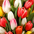 Букет из 25 тюльпанов Апрель №160 - Фото 3
