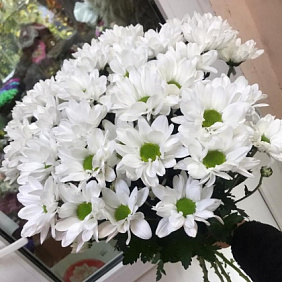 Букет цветов "Бакарди" 5 шт