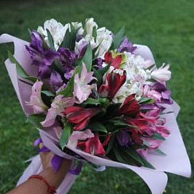 Букет Альстромерия микс №164