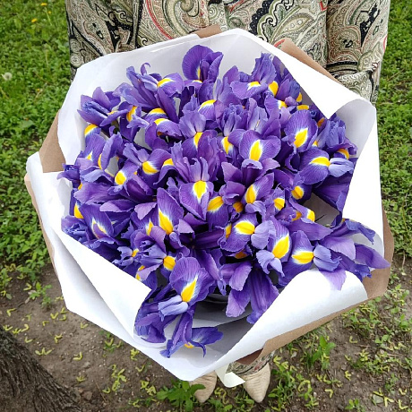 Букет из 31 синего ириса - Фото 6