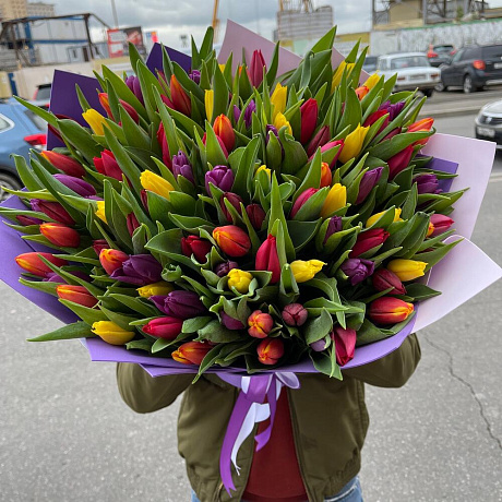 Тюльпан разноцветные - Фото 4