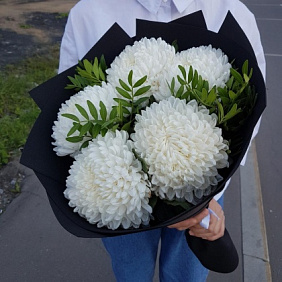 Крымская хризантема №166