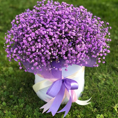 Фиолетовая гипсофила в шляпной коробке - Фото 3