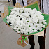 Ромашковая хризантема - Фото 1