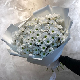 Букет из белых хризантем №172