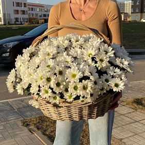 Корзина хризантем