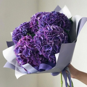 Букет из 5 фиолетовых гортензий