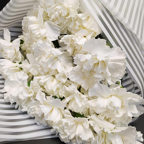 Белые гвоздики №160 - Фото 4