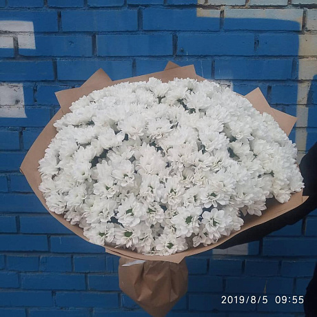 Букет из 49 белой хризантемы - Фото 3